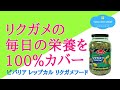 【毎日の栄養を100％カバー】ビバリア レップカル リクガメフード