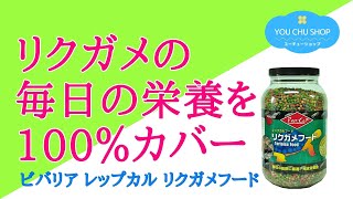 【毎日の栄養を100％カバー】ビバリア レップカル リクガメフード