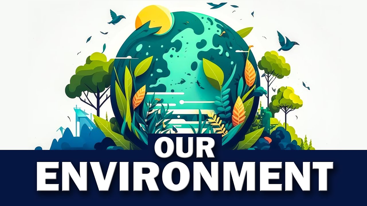 Class 3 | Our Environment | EVS | English Medium | Maharashtra Board