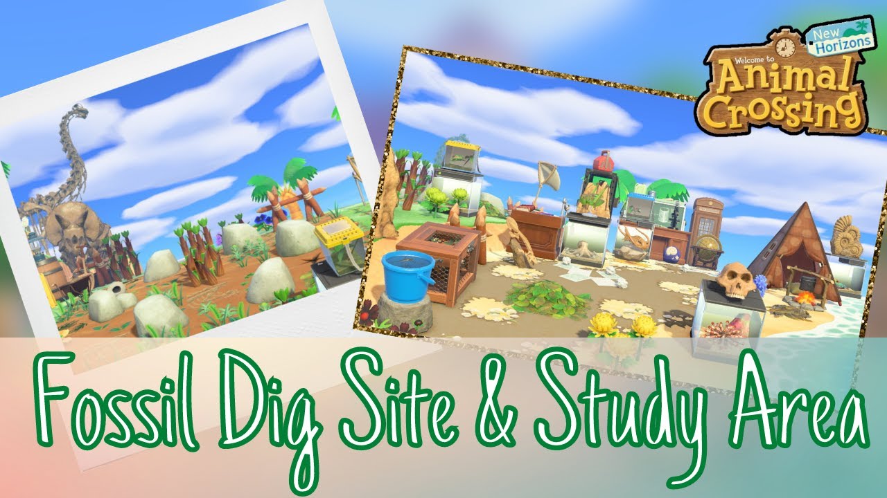 Fossil Dig Site and Museum Study Area // Animal Crossing New Horizons YouTube