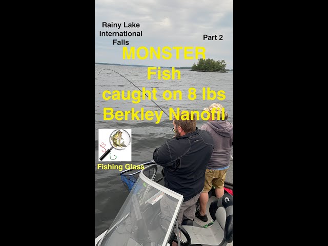 Monster Fish caught on Berkley Nanofil 8 lbs test 