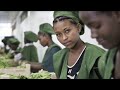 IOHA Webinar - Sustainable Development Goals