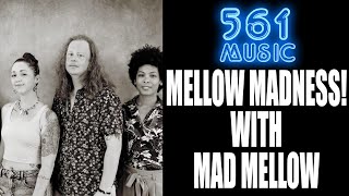 Mellow Madness! With Mad Mellow - YouTube