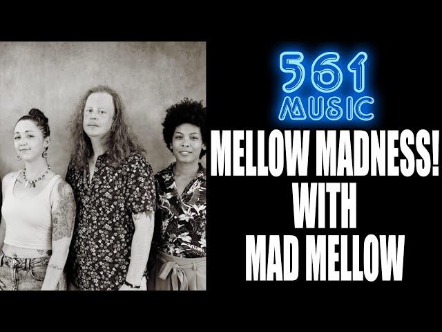 Mellow Madness! With Mad Mellow - YouTube