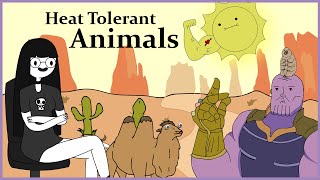 Heat Tolerant Animals - [Weird Flex Wednesdays]