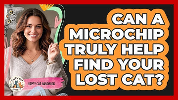 Can a Microchip Truly Help Find Your Lost Cat?