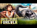 Haathi Friends Forever New 2025 Released South Indian Movie Dubbed In Hindi Emotional Movie Haathi Friends Forever New 2025 Released South Indian Movie Dubbed In Hindi Emotional Movie