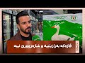 ئه‌حمه‌د هه‌ركی، به‌دواداچوون بۆ قازێكی به‌رازیلی ده‌كات، به‌ناوی قازی كوردستان ده‌فرۆشرێت