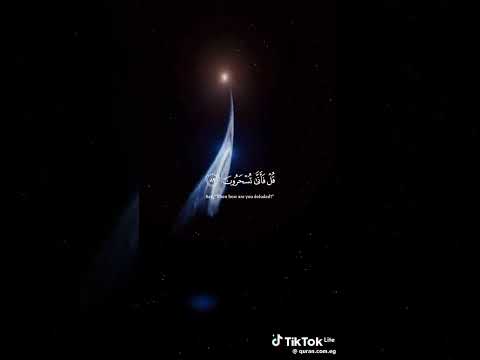 اروح اذنك
