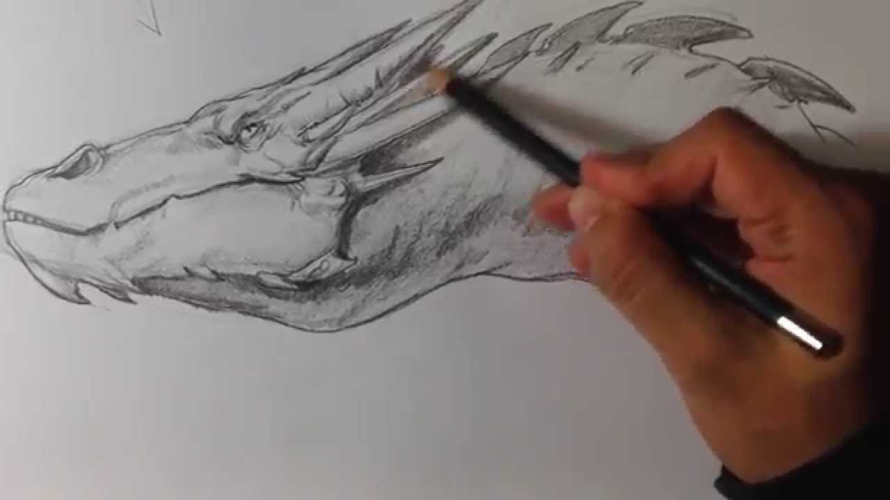 the hobbit smaug drawing