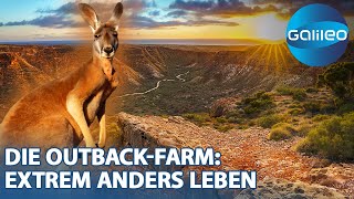 Leben am Rande der Welt: Das bewusste Leben in Einsamkeit auf der OutbackFarm