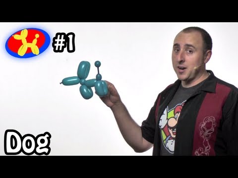One Balloon Dog - Balloon Animal Lessons #1 ( globoflexia )