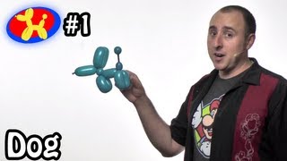 One Balloon Dog - Balloon Animal Lessons #1 ( globoflexia )