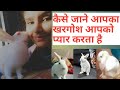 Few Clear Signs that Your Rabbit Loves You | कैसे जाने की आपका खरगोश आपको प्यार करता है | My Eden