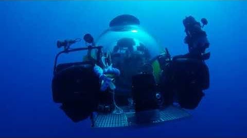 Soft Robotic Arms: Giving Biologists a Delicate, Deep-sea Reach
