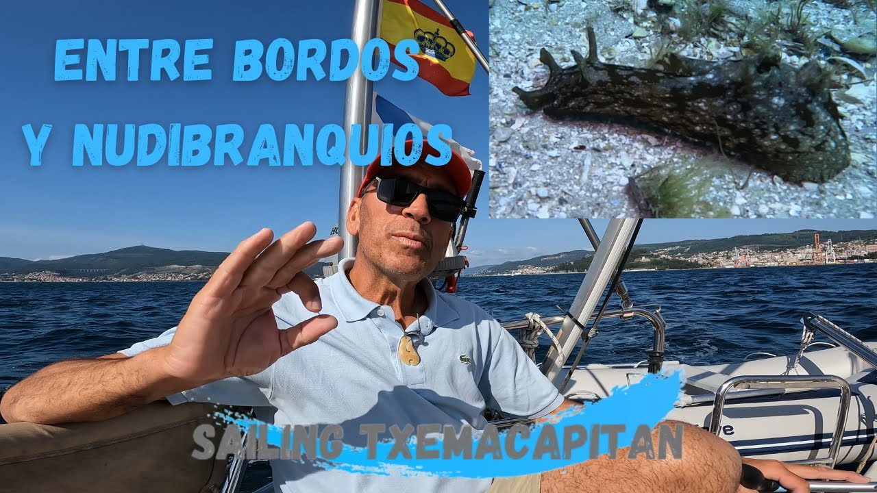 ⁣Entre bordos y nudibranquios