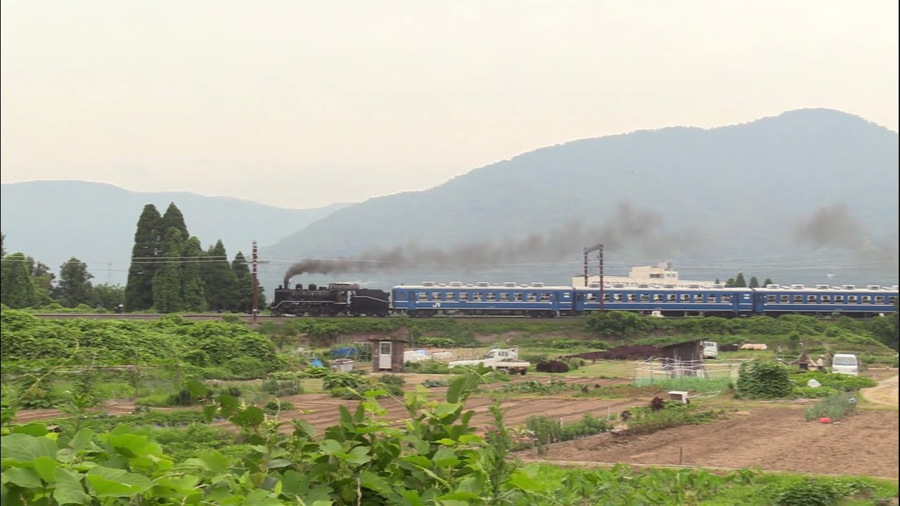 12系惜別】SL北びわこ号 これで本当にさようなら、C56と12系が共に歩ん