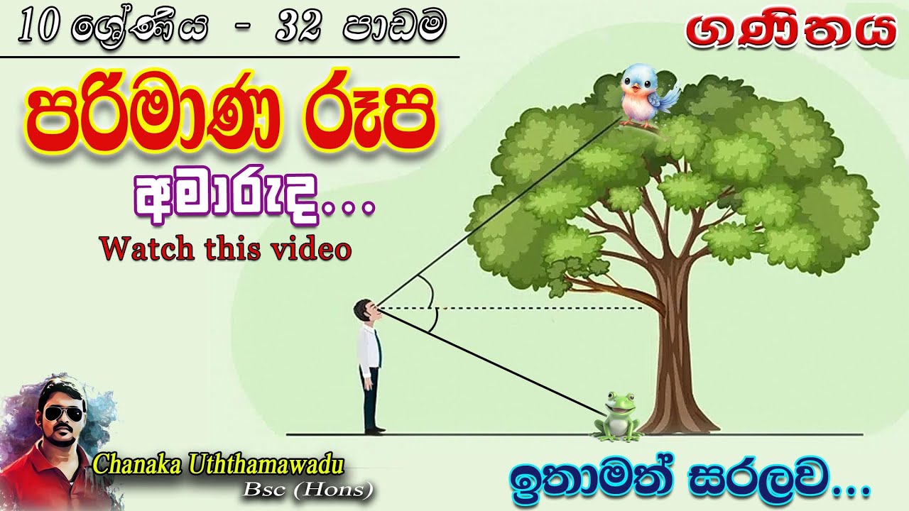maths - Grade 10 - lesson 32 - පරිමාණ රූප - sinhala medium