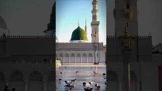 Chalo Aqsa me tumko main dikhau