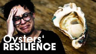 Shell-shocked: Exploring The Surprising Link Between Oysters And Stress | Missing Link | Documentary