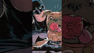 Batman Finds A Young Boys Lost Dog