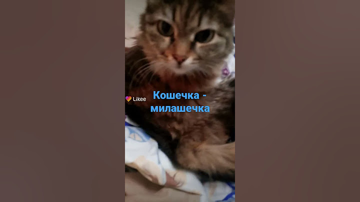 Милая кошка Маня 😍❤️
