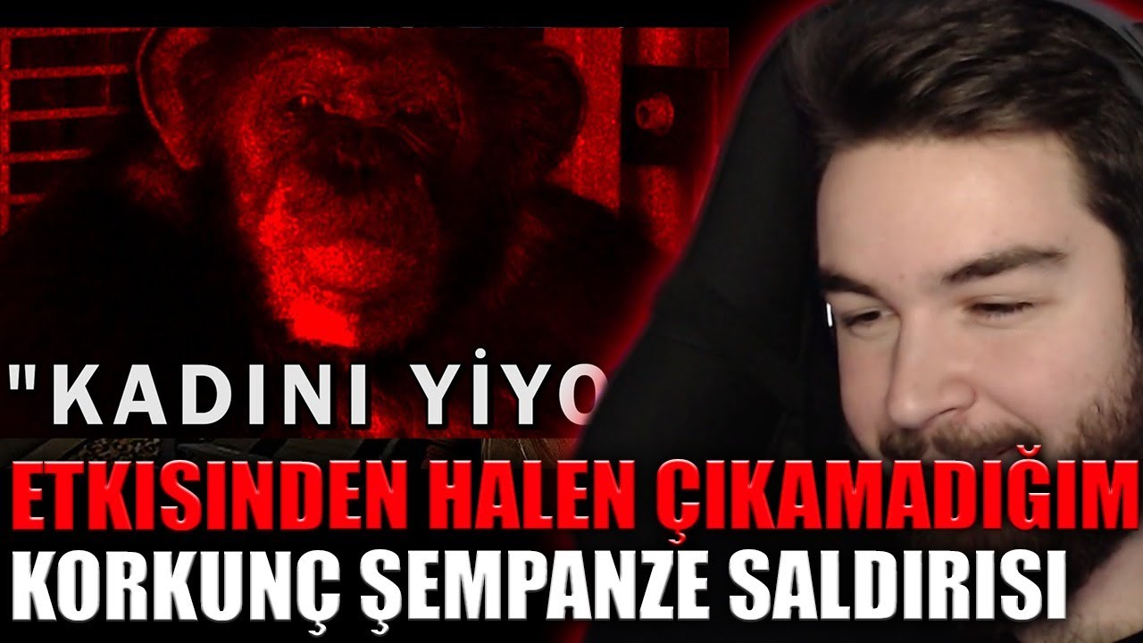 H1vezZz Etkisinden Hala Çıkamadığım Korkunç Şempanze Saldırısı İzliyor (@Portal)