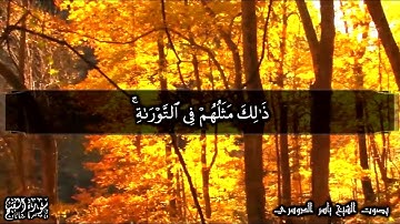 سورة الفتح آية 29 | بصوت الشيخ ياسر الدوسري