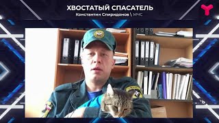 Секреты кота-пожарного Семёна