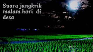 Suara Jangkrik  - Suasana malam di  desa - Relaksasi Suara