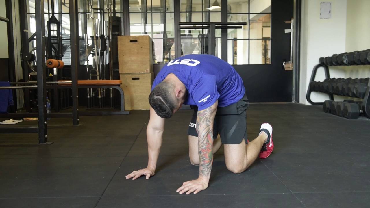 Thoracic Mobility- Cat/Cow - YouTube