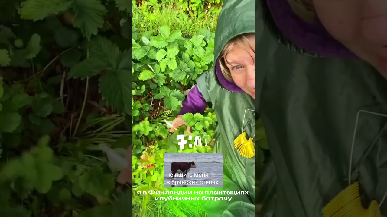 ВАХТА В ЕВРОПЕ! кидаемся тухлой клубникой🙏✨ 