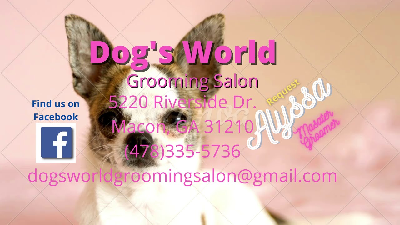 Dog's World Grooming Salon is located in Macon, GA YouTube