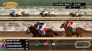 RACE 7 PROGRAM 11 10 2025