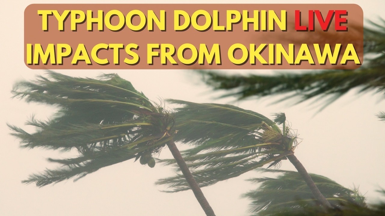 LIVE Typhoon Dolphin Impacts Okinawa Japan - 台風13号ライブ＠沖縄