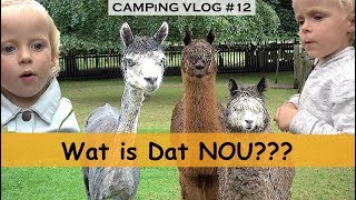 Bijzondere Kinderboerderij Bellinga Vlog