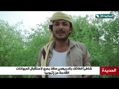 شاطئ الطائف بالدريهمي... منفذ بحري لاستقبال الحيوانات القادمة من إثيوبيا