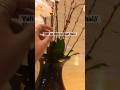 Yeh Un Dino Ki Baat hai#shorts#youtubeshorts#ashortaday#trending#dubai