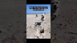 Dog fails.🐶 #cute #foryou #dog #shorts #funny