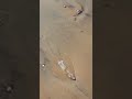 اجمل شاطئ في العالم Agadir المغرب اكسبلور Maroc Palais Royal تيك توك القصر الملكي اجمل شاطئ في العالم Agadir المغرب اكسبلور Maroc Palais Royal تيك توك القصر الملكي