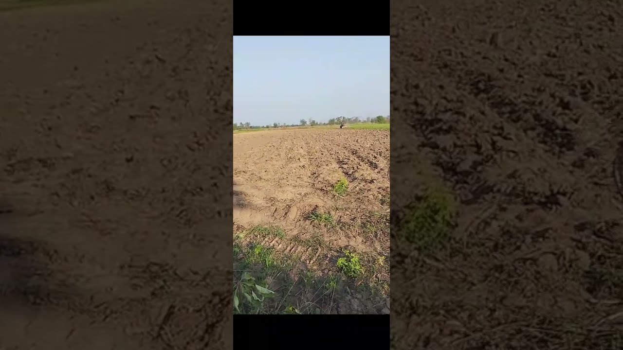 Num Nonem ๓ มีนาคม ๒๕๖๙