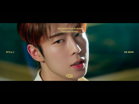 SF9 ダウォンDAWON 握手券 4枚 リリイベ 「GOOD GUY 」 SF9