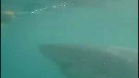 videoplayback   2025 09 12T144046 929