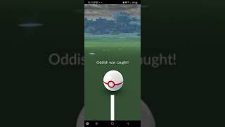Shadow pokemon rescue Oddish | #PokemonGOfriend | Pokemon GO | 4166 4910 5125 | 4391 1475 9450