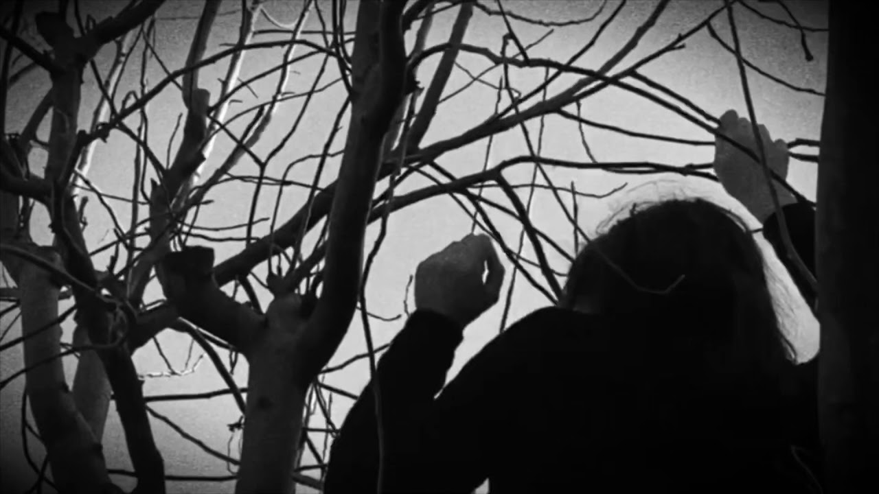 Intro- Ricerca Paranormale Globale (RPG)