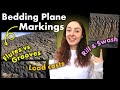 Sedimentology and Stratigraphy Quiz