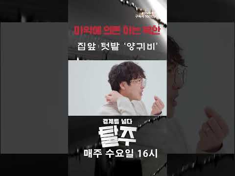 北 마약 의존하는 주민 텃밭에 &amp;#39;<strong>양귀비</strong>&amp;#39; 재배  [탈주] ㅣ 국방홍보원 #shorts
