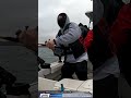 Halibut Trolling 20 Minutes In and Boom!, Fish On! San Francisco Bay Paradise Cove