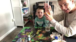 Making A Lava Lamp -Science Experiment
