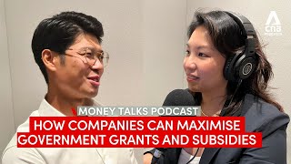 How companies can maximise government grants and subsidies | Money Talks podcast